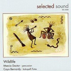 Album art for the ELECTRONICA album Wildlife