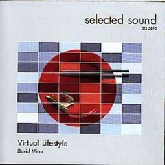 Album art for the EDM album Virtual Lifestyle