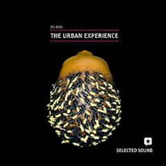 Album art for the HIP HOP album The Urban Experience