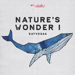 Album art for the SCORE album NATURE'S WONDER