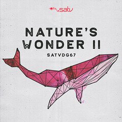 Album art for the SCORE album NATURE'S WONDER II