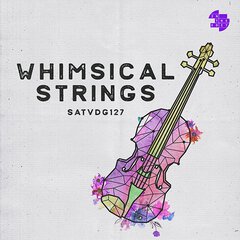 Album art for the CLASSICAL album WHIMSICAL STRINGS