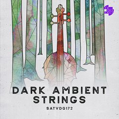 Album art for the SCORE album DARK AMBIENT STRINGS