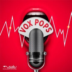 Album art for the POP album Vox Pops