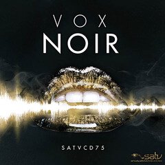 Album art for the  album Vox Noir