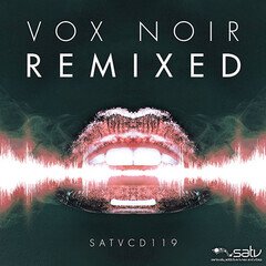 Album art for the  album Vox Noir Remixed