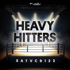 Album art for the  album HEAVY HITTERS