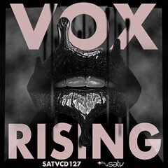 Album art for the POP album Vox Rising