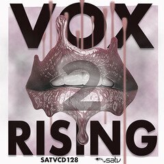 Album art for the POP album Vox Rising II