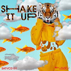 Album art for the EDM album Shake It Up