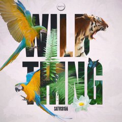 Album art for the POP album Wild Thing