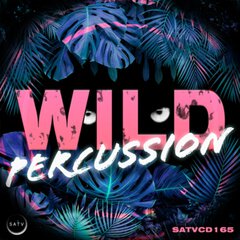 Album art for the  album Wild Percussion