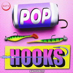 Album art for the POP album POP HOOKS