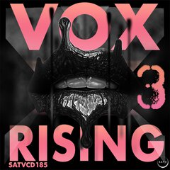Album art for the POP album VOX RISING III
