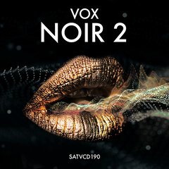 Album art for the POP album VOX NOIR II