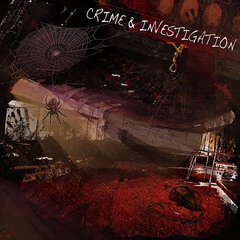 Album art for the  album Crime and Investigation