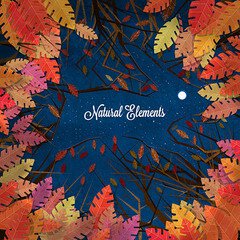Album art for the ATMOSPHERIC album Natural Elements