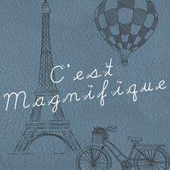 Album art for the  album C'est Magnifique