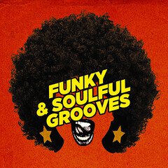 Album art for the  album Funky and Soulful Grooves