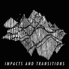 Album art for the  album Impacts and Transitions