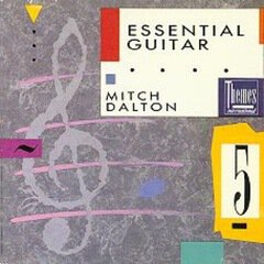 Album art for the  album Essential Guitar