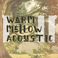 Album art for the FOLK album Warm and Mellow Acoustic