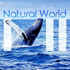 Album art for the SCORE album Natural World