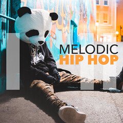 Album art for the HIP HOP album Melodic Hip Hop
