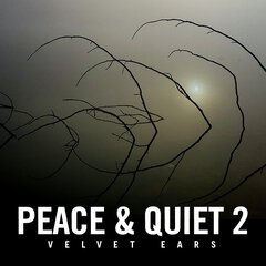 Album art for the CLASSICAL album PEACE AND QUIET 2 by TAUBENBLAU