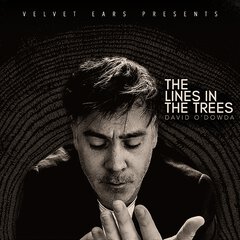 Album art for the POP album THE LINES IN THE TREES by DAVID O'DOWDA