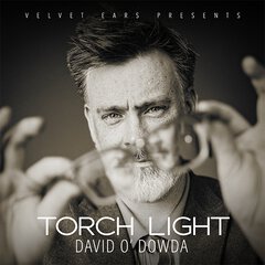 Album art for the POP album TORCH LIGHT by DAVID O'DOWDA