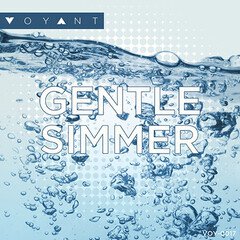 Album art for the  album GENTLE SIMMER