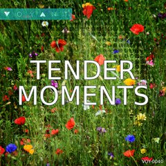 Album art for the POP album Tender Moments