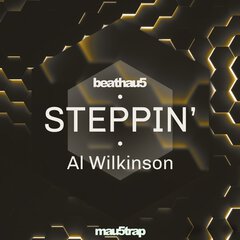 Album art for the EDM album STEPPIN' by AL WILKINSON