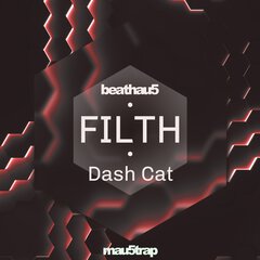 Album art for the EDM album FILTH by DASH CAT