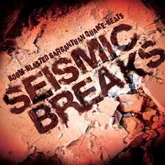 Album art for the EDM album SEISMIC BREAKS by MARC WILLIAMS.