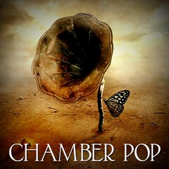 Album art for the POP album CHAMBER POP