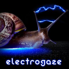 Album art for the ELECTRONICA album ELECTROGAZE