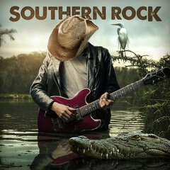 Album art for the ROCK album SOUTHERN ROCK