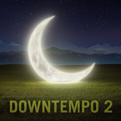 Album art for the ELECTRONICA album DOWNTEMPO 2
