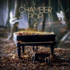 Album art for the POP album CHAMBER POP 2