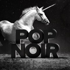 Album art for the POP album POP NOIR