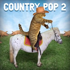 Album art for the COUNTRY album COUNTRY POP 2