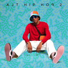 Album art for the HIP HOP album ALT HIP HOP 2