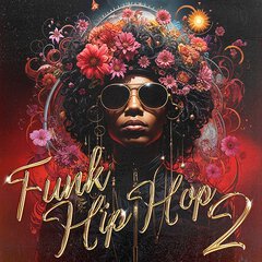 Album art for the HIP HOP album FUNK HIP HOP 2