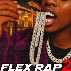 Album art for the HIP HOP album FLEX RAP 2
