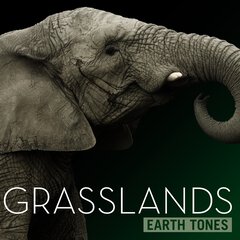 Album art for the SCORE album Grasslands