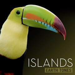 Album art for the SCORE album Islands