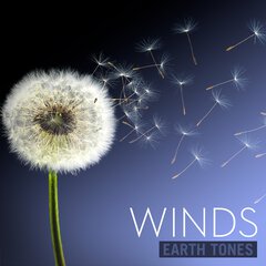 Album art for the SCORE album WINDS