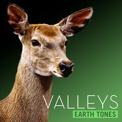 Album art for the SCORE album VALLEYS